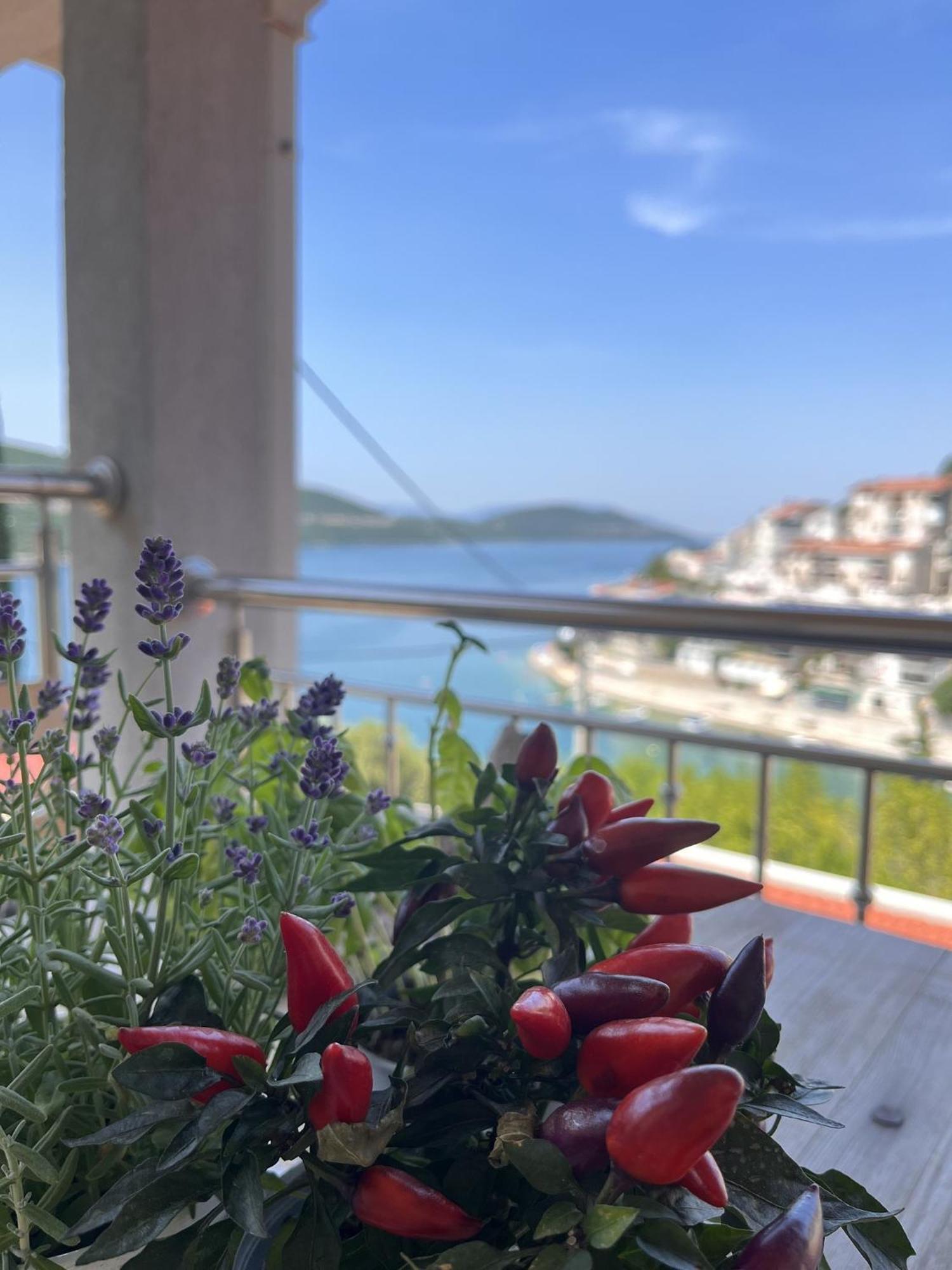 Villa Ljiljana Neum Rum bild